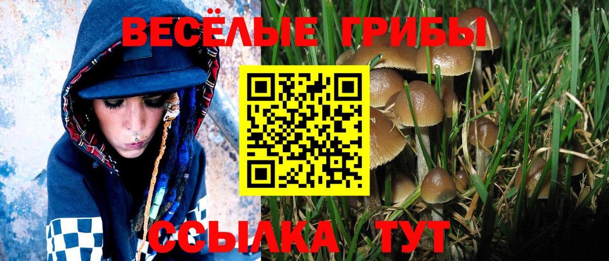 Галлюциногенные грибы Cubensis Краснокаменск